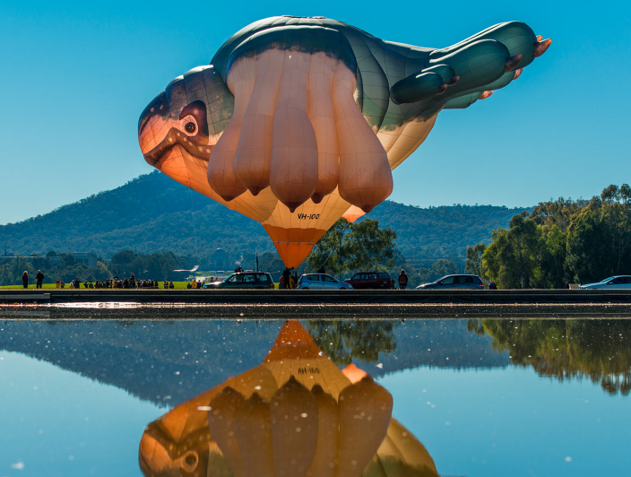 Special Shape Balloons